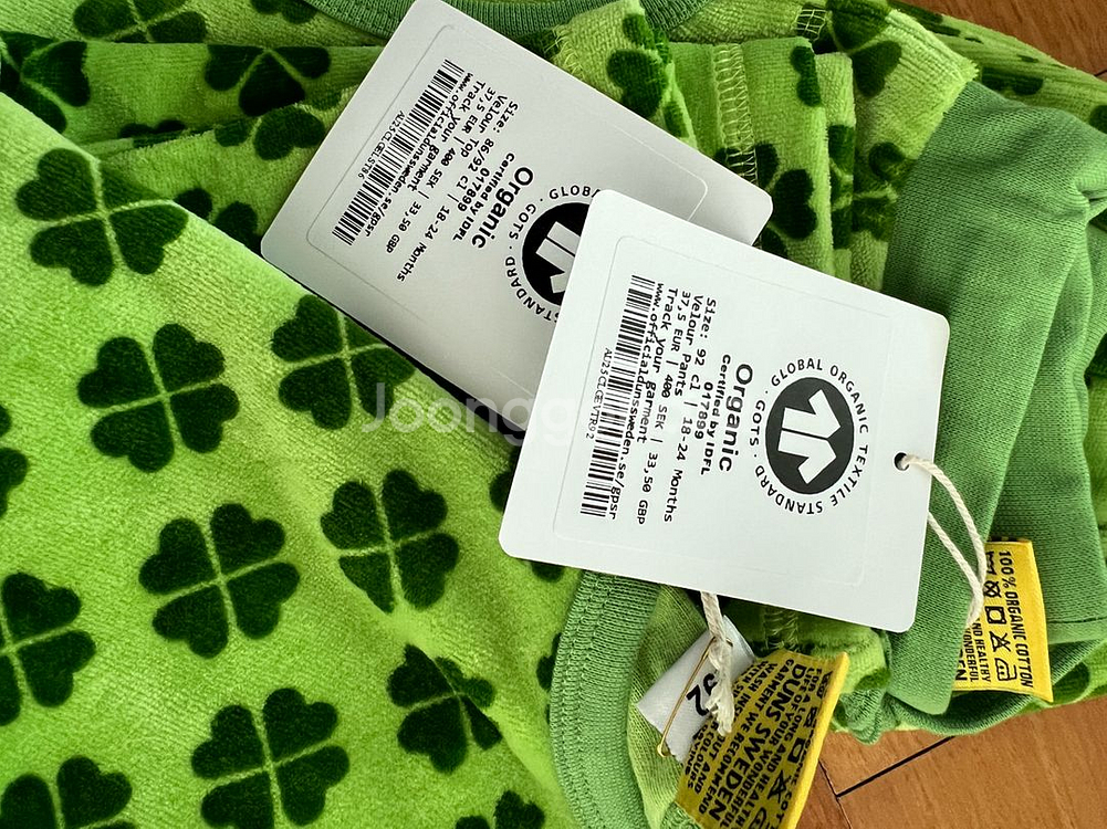 던스 벨루아 클로버 그린 상하 세트--0