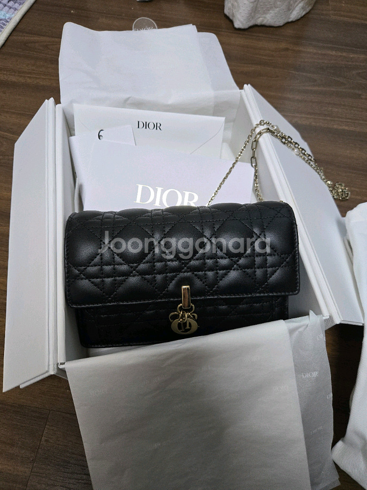 디올 데일리 체인 파우치백--0