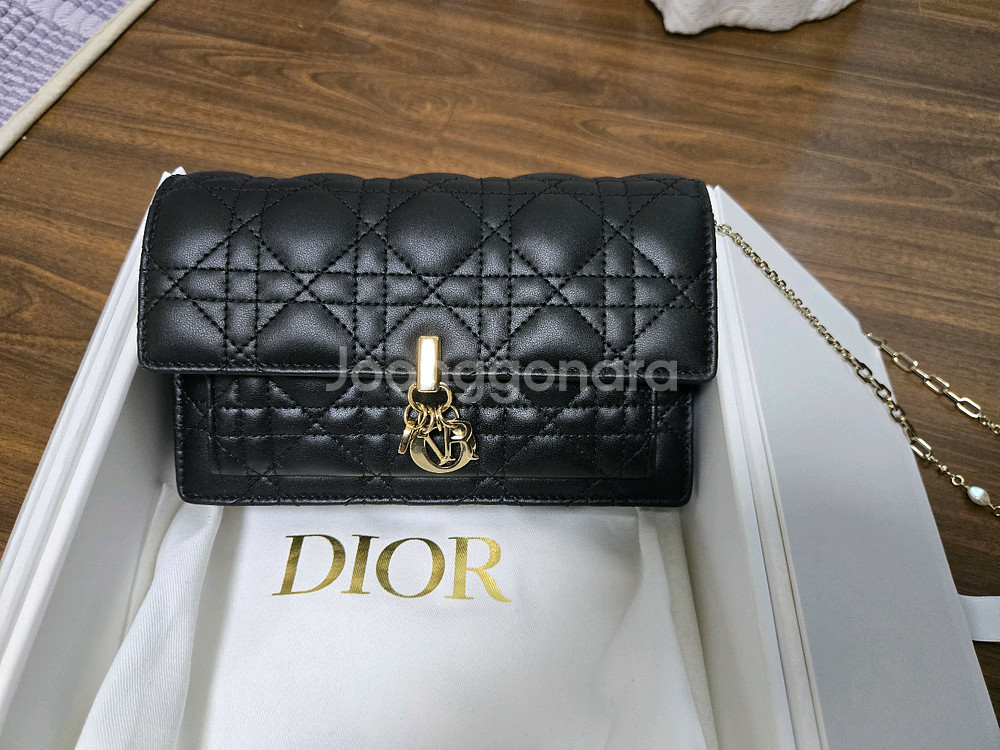 디올 데일리 체인 파우치백--1