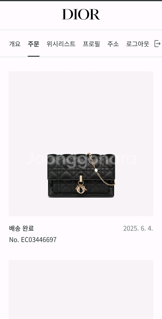 디올 데일리 체인 파우치백--8