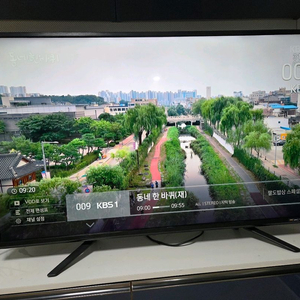 디지털맥스 55인치 4K UHD TV