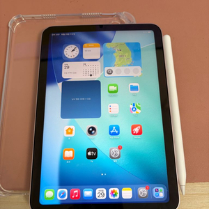 배터리100 아이패드 미니6 256기가 핑크+애펜2