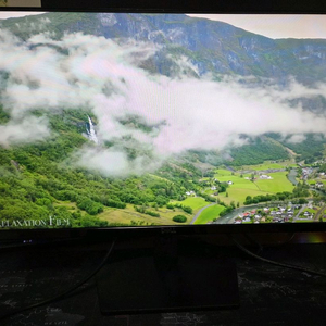 DELL 24인치 IPS 75Hz 모니터