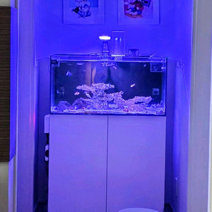 마린코스트 UZ90 해수어항 풀셋