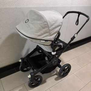 부가부 버팔로 아뜰리에 한정판