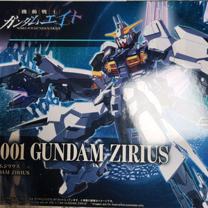 HG건담 지리우스, MG내러티브 버카 판매합니다(일괄)