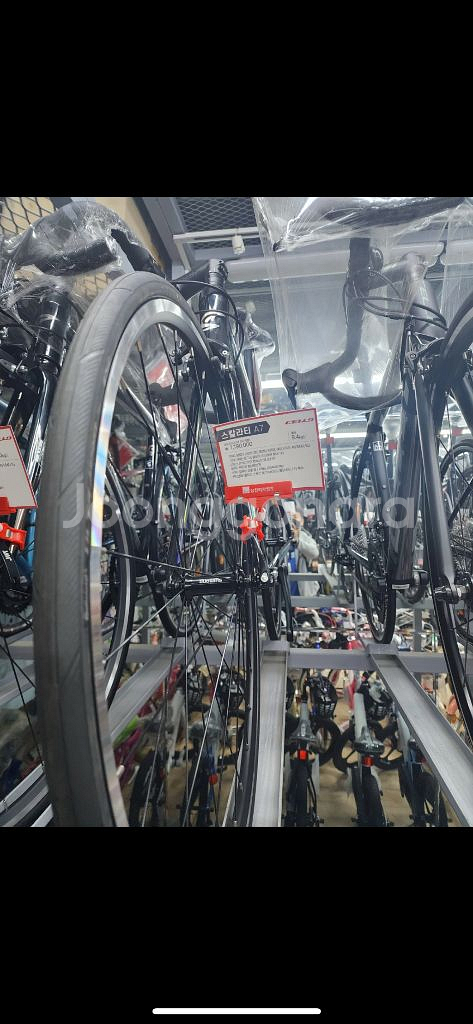 첼로 스칼라티 A7 시마노 105 SM사이즈 22년식--5