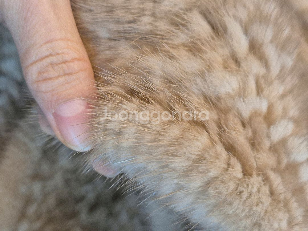 밍크 머플러/목도리 베이지--4