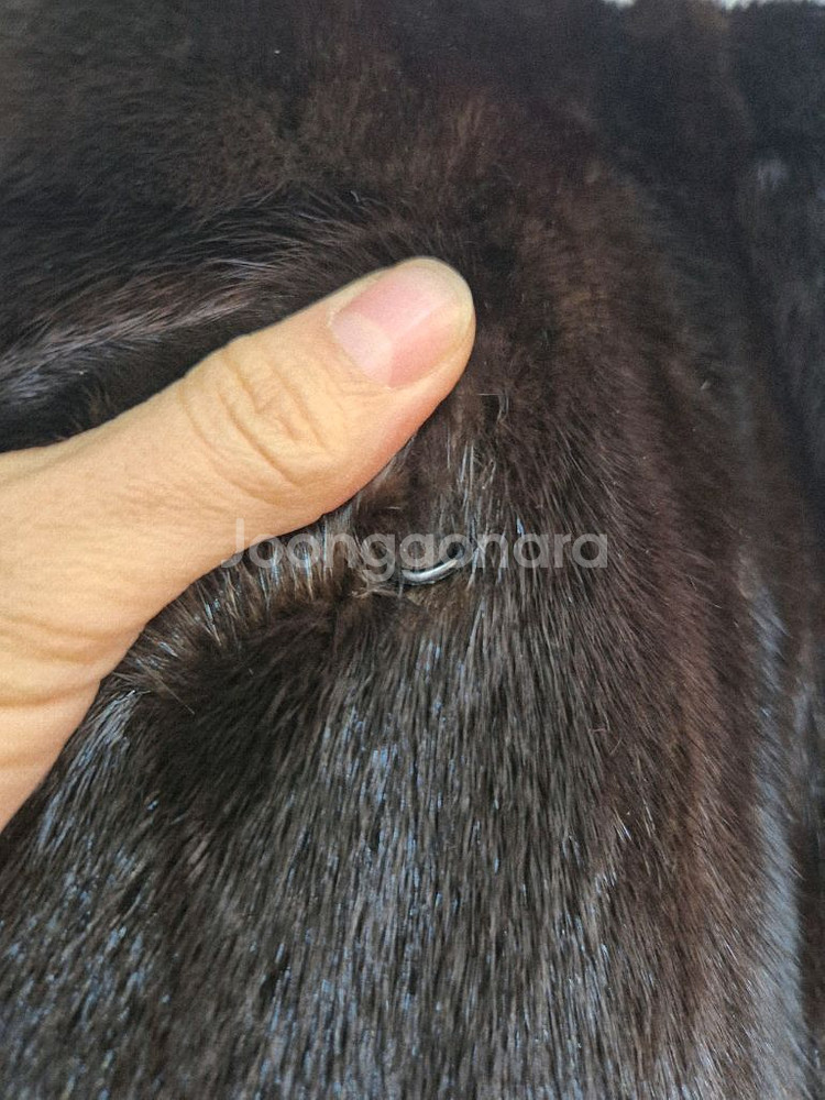 진도 SAGA 밍크 조끼--4