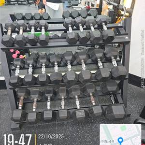 덤벨 일괄판매 3kg~30kg