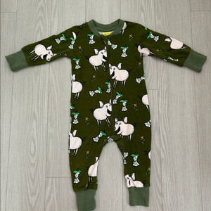 던스 구상 돼지집업 68