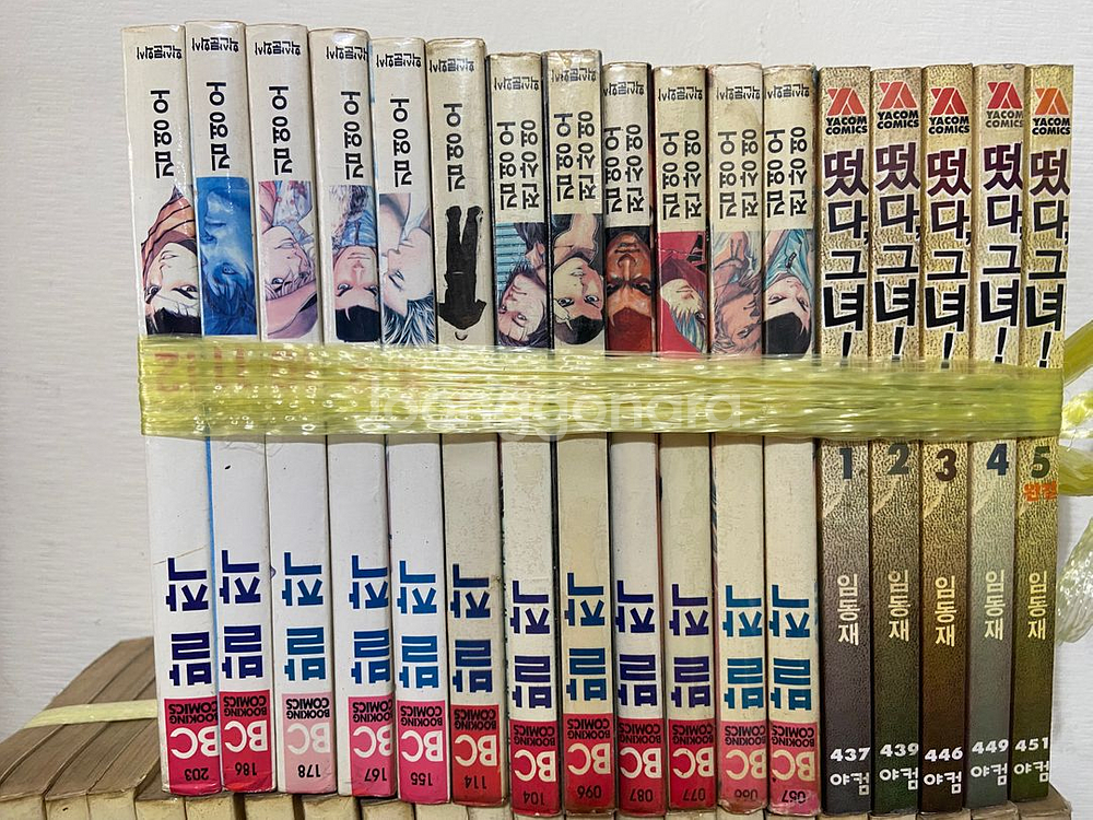 만화정리14 금색의갓슈, 떳다 그녀, 공수도소공자 코히나타미노루 등--1