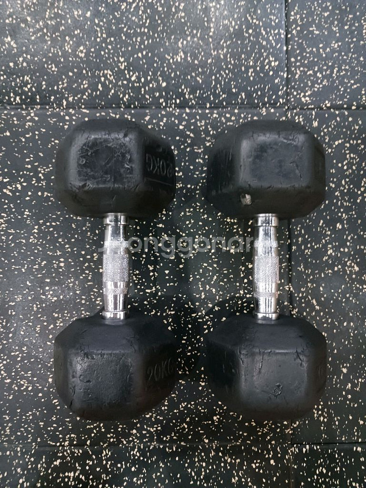 20kg 육각 덤벨 한 쌍--2
