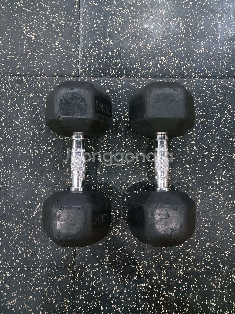 20kg 육각 덤벨 한 쌍--0