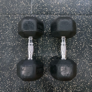 20kg 육각 덤벨 한 쌍