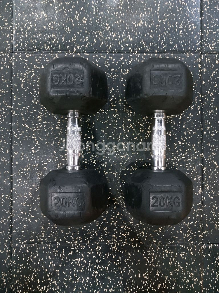 20kg 육각 덤벨 한 쌍--1