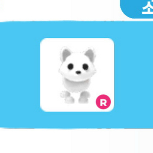 입양하세요 타는 북극여우 북여