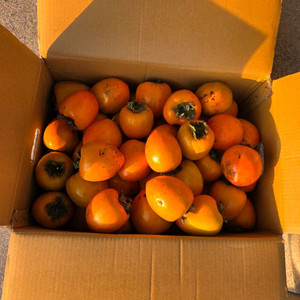 대봉10kg 23000원(소.중 사이즈)