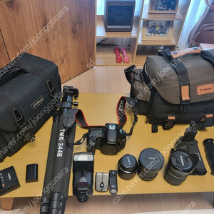 캐논 60d / 탐론 17-50 / 단렌즈 어안렌즈 기타 풀셋