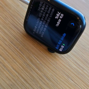 애플워치 SE2 45mm 미드나잇