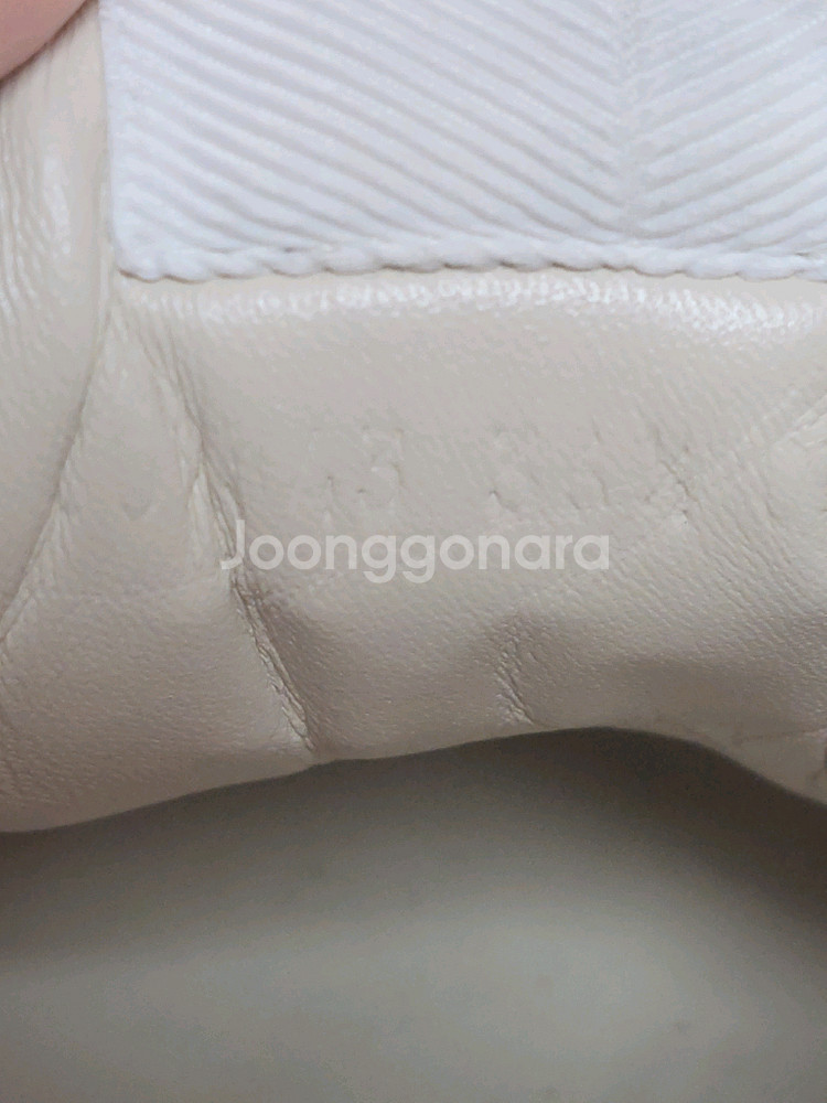 정품)급처상태좋음!구찌 애플로고라이톤스니커즈키높이운동화--1