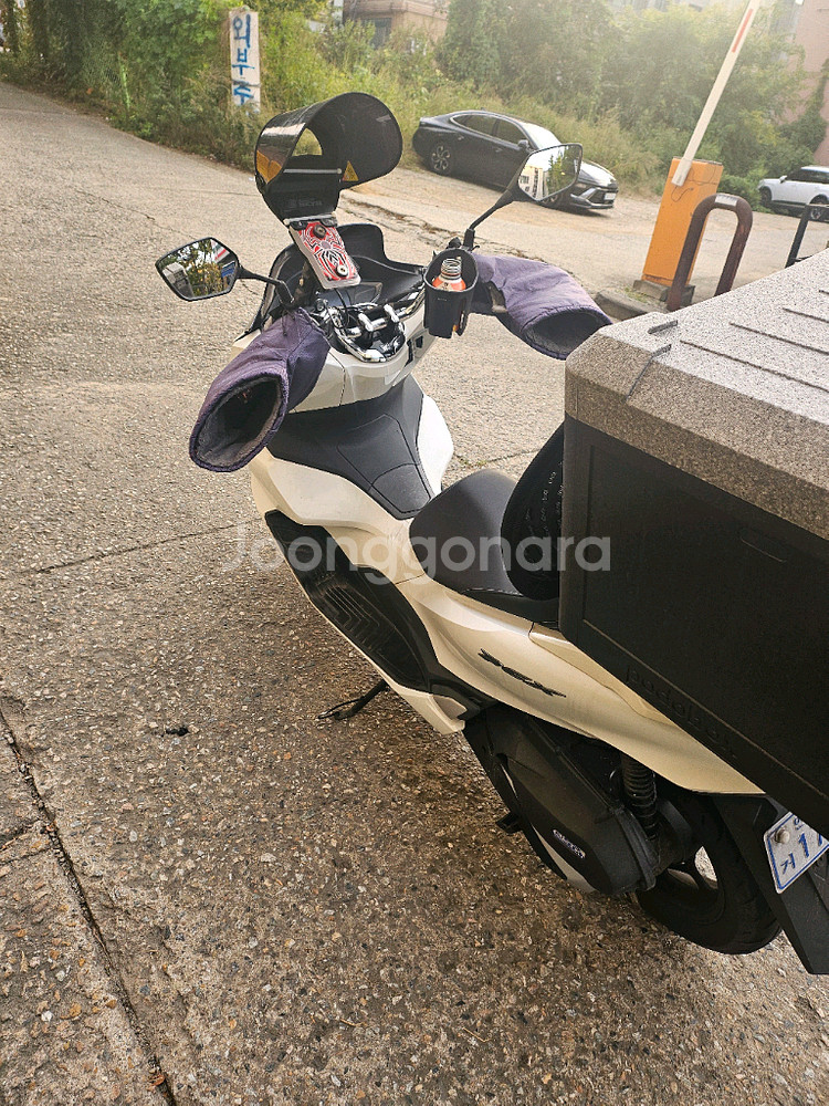 23년식pcx125--0