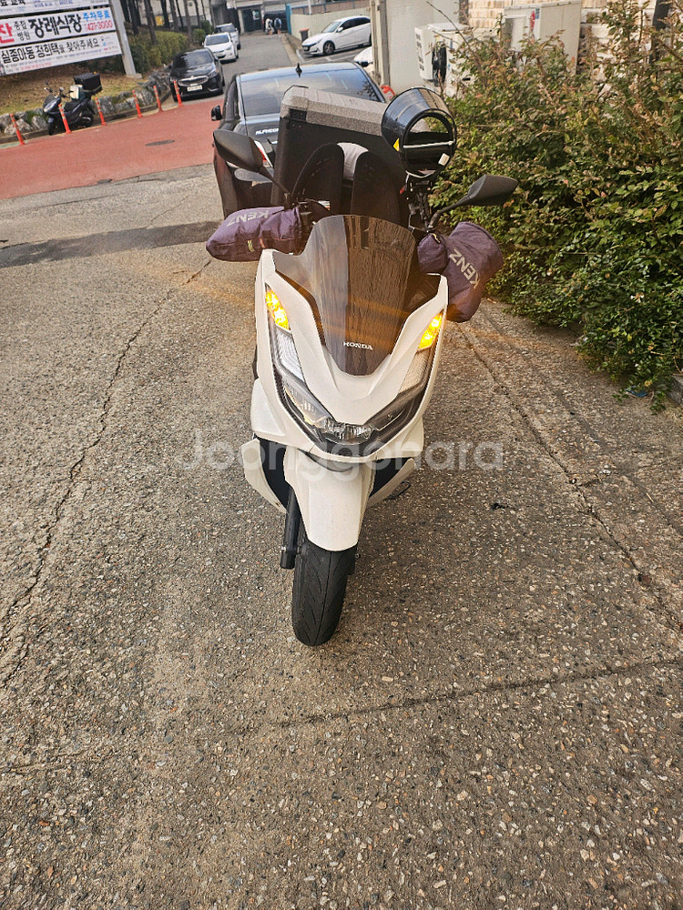 23년식pcx125--2