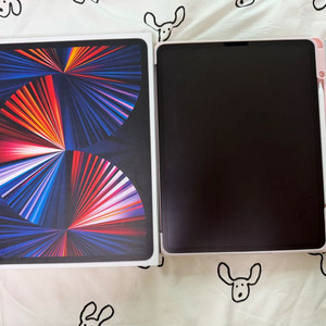 아이패드프로 12.9 5세대 (m1) 512 셀룰러 + 애플펜슬 2세대