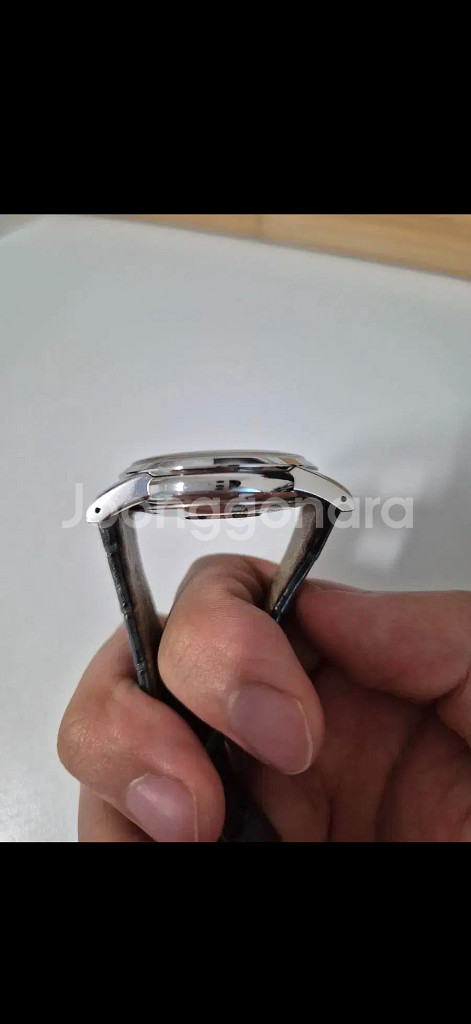 그랜드세이코 sbgx347--3