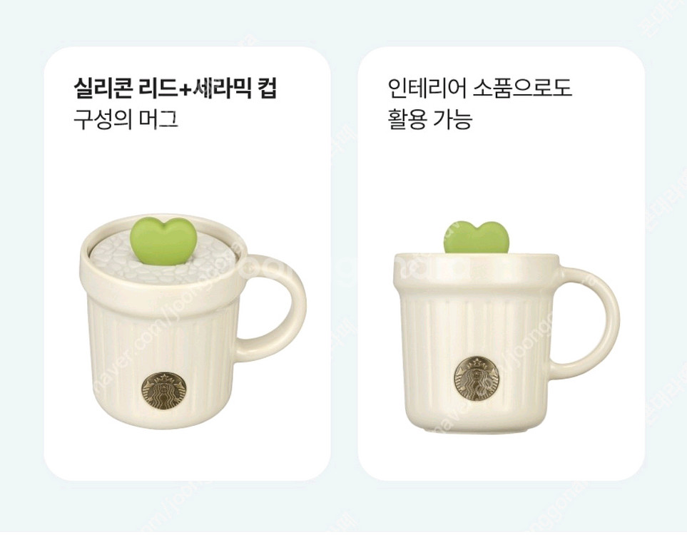 스타벅스 플라워 마켓 다육이 머그 237ml 세트--0