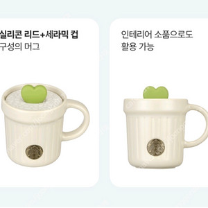 스타벅스 플라워 마켓 다육이 머그 237ml 세트