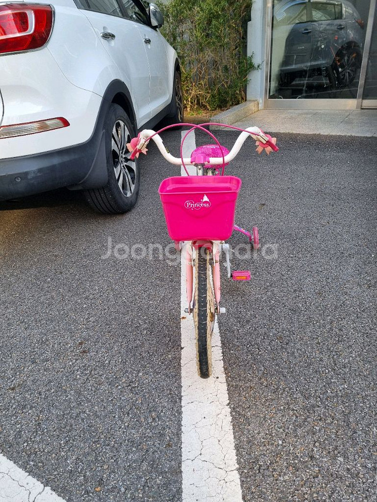 삼천리 디즈니 유아자전거--3