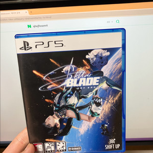 PS5 스텔라 블레이드