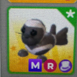 입양하세요 메가네온 리본물개