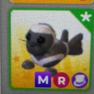 입양하세요 메가네온 리본물개