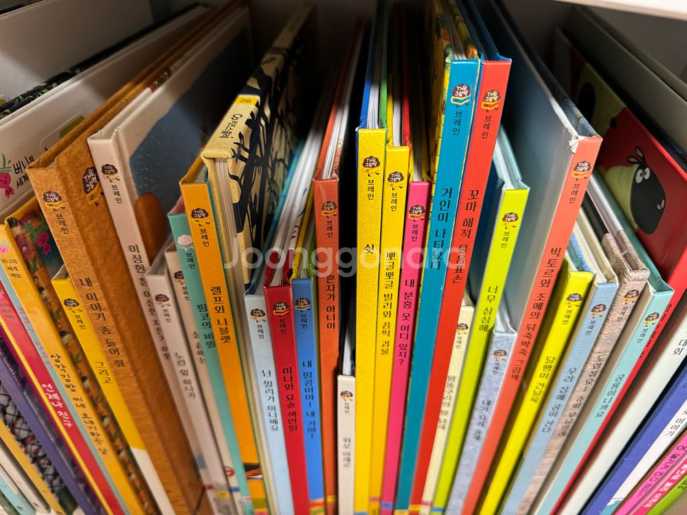 키즈스콜레 더브레인 그림책 택포--1