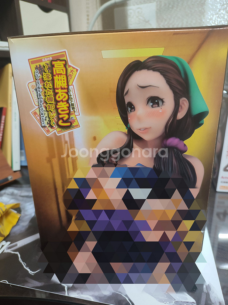 미개봉 피규어 [다이키 공업 1/5] 흐트러진 재고조사 아키코--1