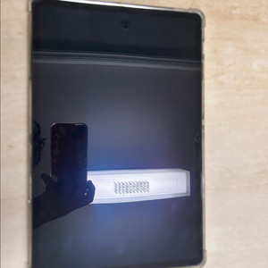 갤럭시 탭 S8플러스 256GB WiFi