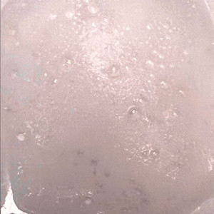 롬앤피치허니비 _당근