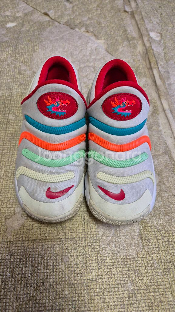 나이키키즈 다이나모고2 190사이즈--0