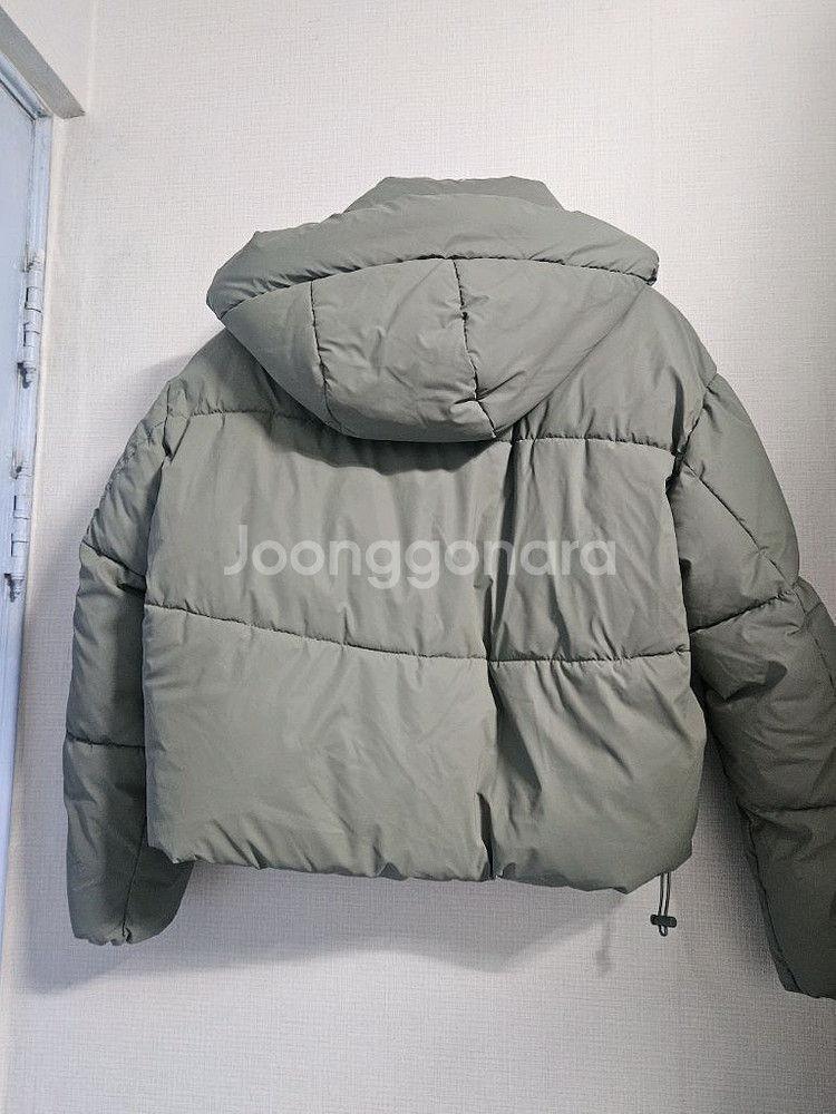 자라 후드 패딩 점퍼--1