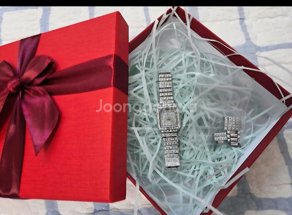 올큐빅 팔찌시계 새거 스와로브스키 카시오 세이코 가이거--1