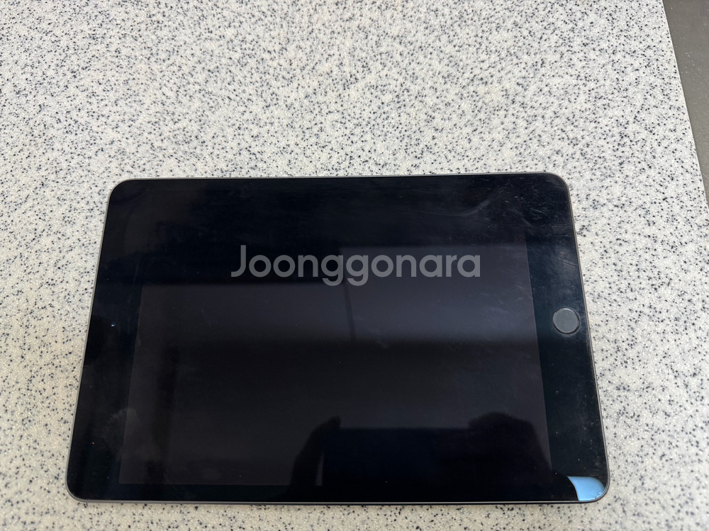 아이패드 mini5--0