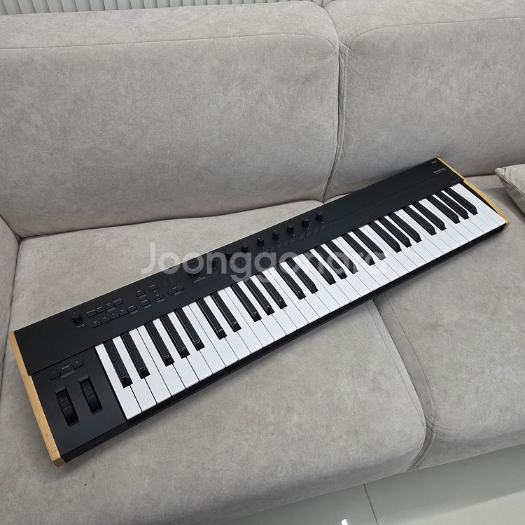 코르그 키스테이지 61 마스터건반 판매합니다.--0