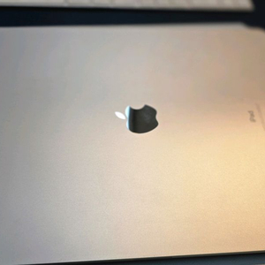 아이패드 프로 12.9 인치 5세대 판매합니다.