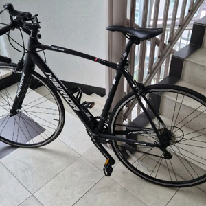 메리다 스컬트라 100(판/대)