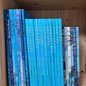 고녀석맛있겠다 물고기시리즈 가부와메시리즈