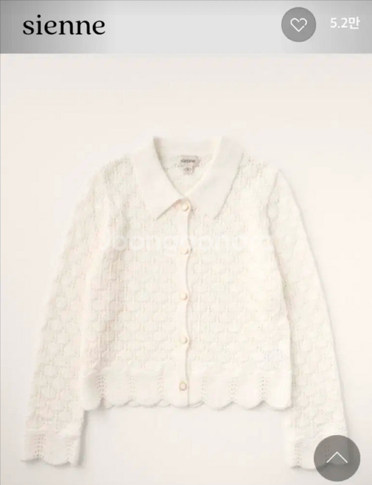 시엔느 가디건--9