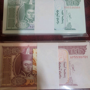 몽골 투그릭 10, 20 지폐 다발