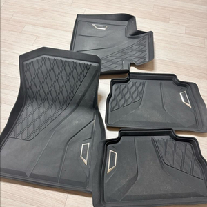 BMW X6 순정 고무매트